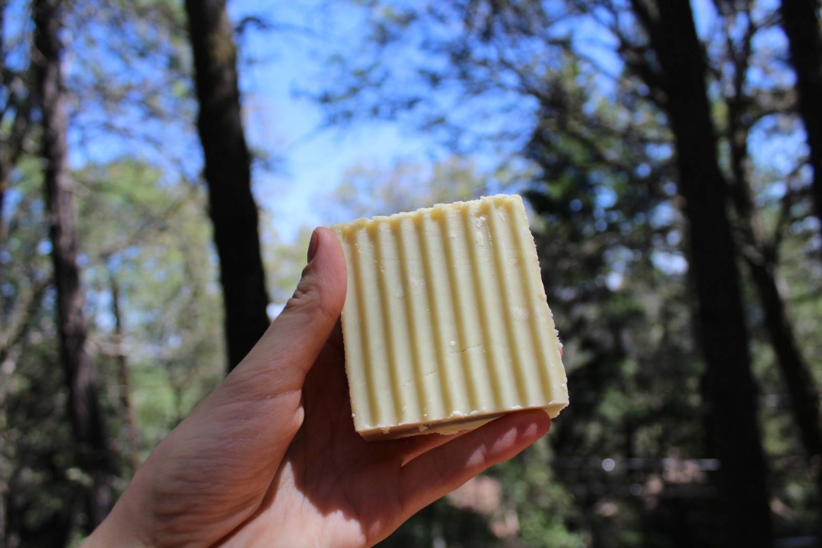 Hearth + Sol™ Ritual Soap Bar